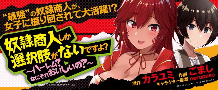 奴隷商人しか選択肢がないですよ？～ハーレム？なにそれおいしいの？～