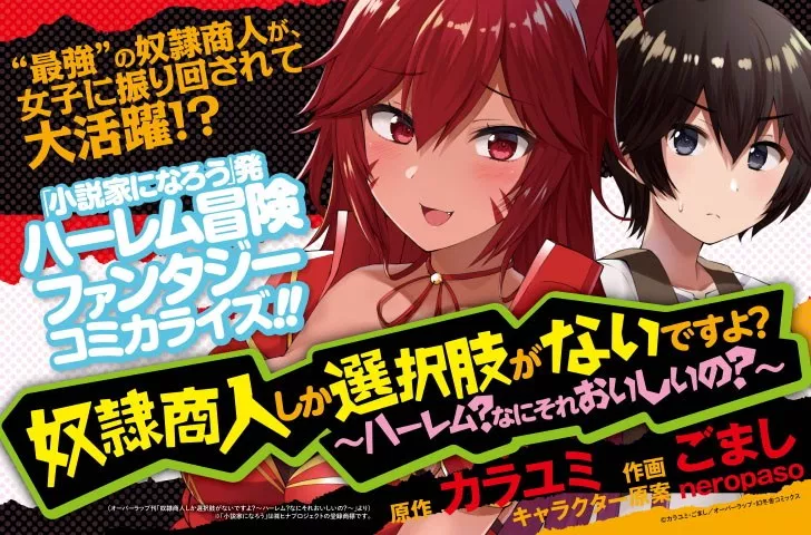 奴隷商人しか選択肢がないですよ？～ハーレム？なにそれおいしいの？～